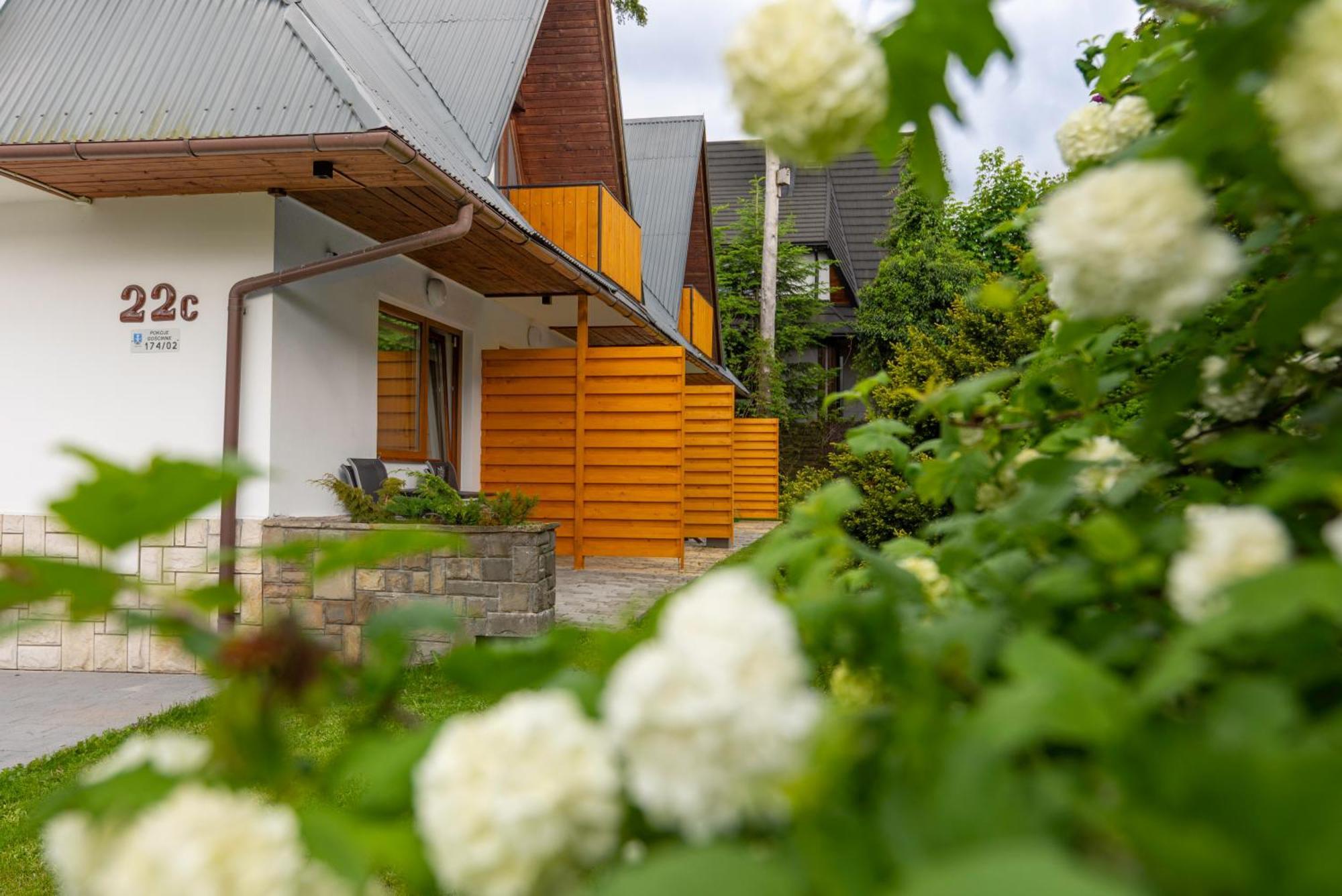 Modrzew Appartement Zakopane Buitenkant foto
