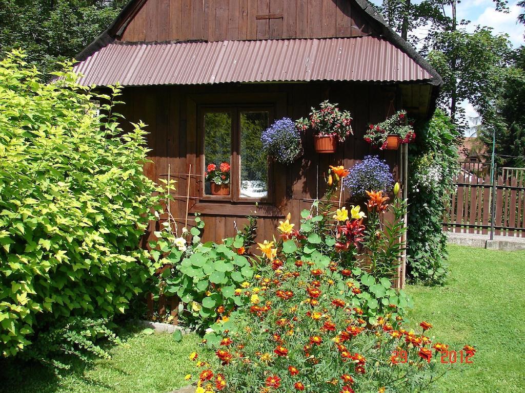 Modrzew Appartement Zakopane Buitenkant foto
